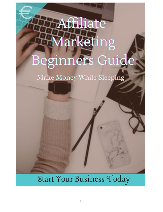 Affiliate Marketing Beginners Guide (Digital Marketing  Co.)